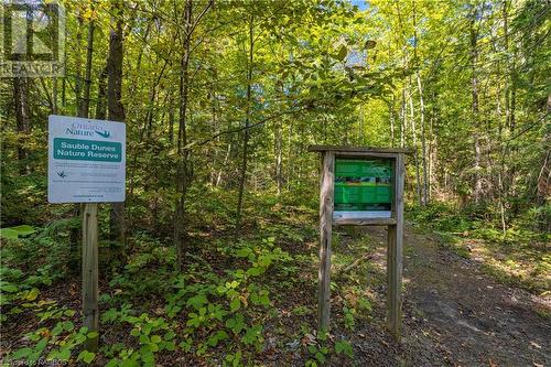 Sauble Dunes Nature Reserve nearby! - Lot 36 Con D Sauble Falls Parkway, South Bruce Peninsula, ON 