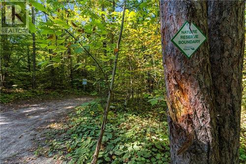 Lot 36 Sauble Falls Parkway, South Bruce Peninsula, ON 