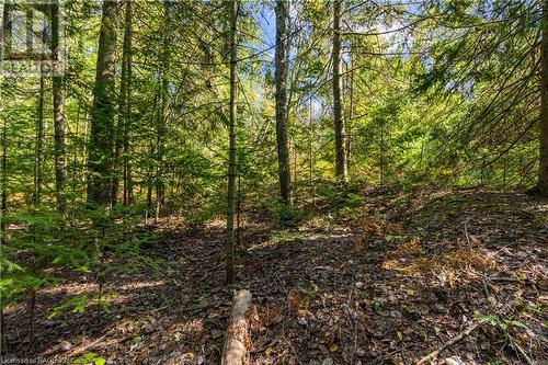 Lot 36 Sauble Falls Parkway, South Bruce Peninsula, ON 