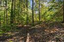 Lot 36 Sauble Falls Parkway, South Bruce Peninsula, ON 