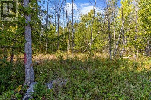 Lot 36 Sauble Falls Parkway, South Bruce Peninsula, ON 