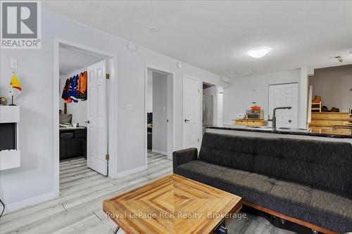 3 Wisteria Court, Kitchener, ON - Indoor Photo Showing Living Room