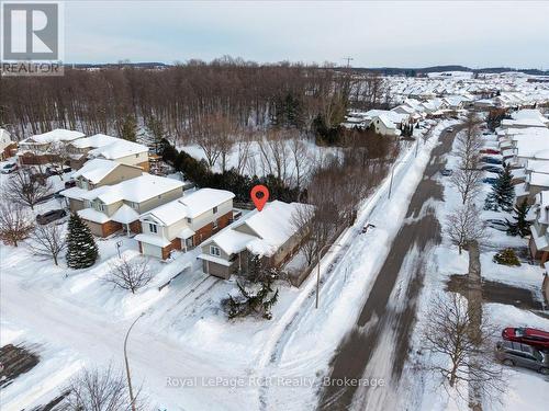 3 Wisteria Court, Kitchener, ON - Outdoor With View