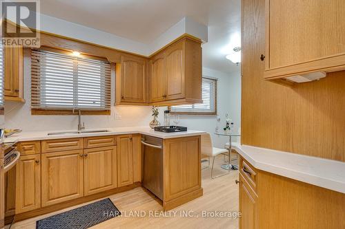 11 Maitland Avenue, Hamilton, ON - Indoor Photo Showing Kitchen With Double Sink