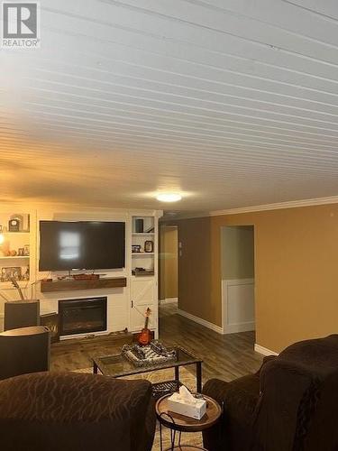 352 Main Highway, Salmon Cove, NL - Indoor Photo Showing Other Room With Fireplace