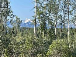 16 HIGHWAY Smithers, BC V0J 2N1