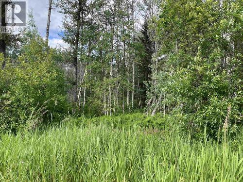 16 Highway, Smithers, BC 