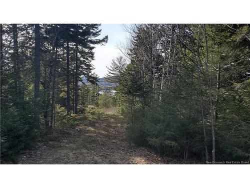 Lot 13 Eagles Passage, Chamcook, NB 