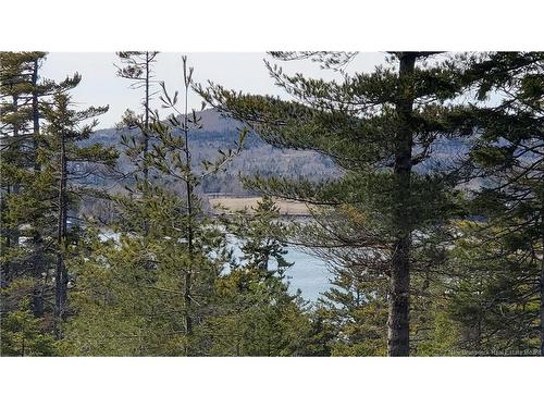 Lot 13 Eagles Passage, Chamcook, NB 