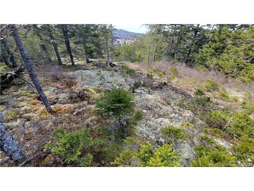 Lot 13 Eagles Passage, Chamcook, NB 
