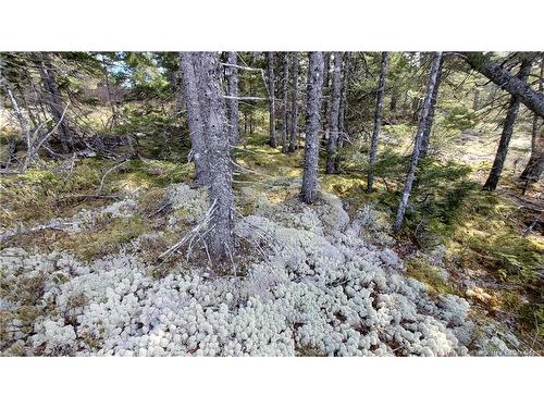 Lot 13 Eagles Passage, Chamcook, NB 