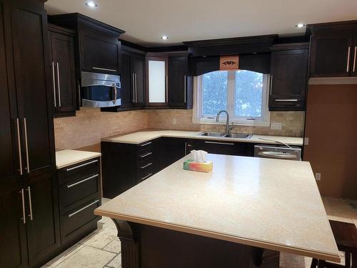 Autre - 252 Rue De Pigalle, Repentigny (Repentigny), QC - Indoor Photo Showing Kitchen With Double Sink