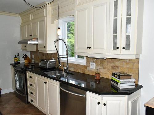 Cuisine - 895 Rue Du Faucon, Drummondville, QC - Indoor Photo Showing Kitchen With Double Sink