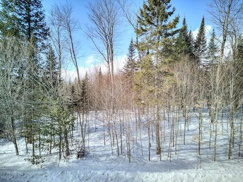 Terre/Terrain - Rue De La Butte, Brownsburg-Chatham, QC 