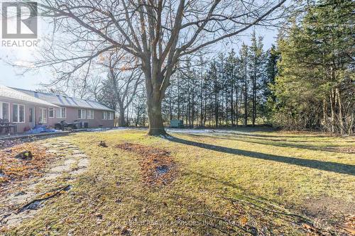 358 Maple Avenue, Halton Hills - 358 Maple Avenue, Halton Hills, ON - Outdoor
