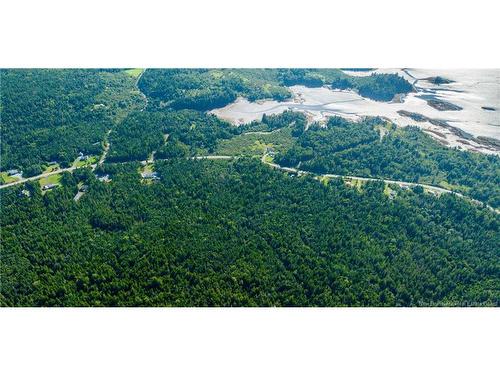 Lot 3 Route 172, Letang, NB 