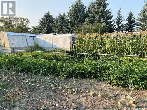 . Railway Avenue, Gladmar, SK - Outdoor