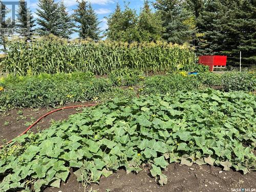 . Railway Avenue, Gladmar, SK - Outdoor