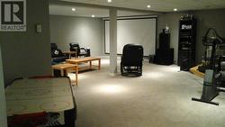 Den downstairs - 