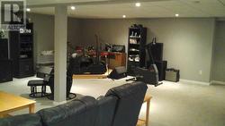 Downstairs Den - 
