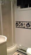3pc bath downstairs - 