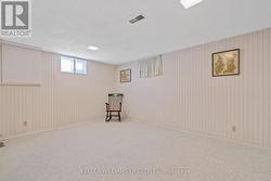 Basement Recreation Room - 