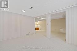 Basement Recreation Room - 