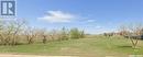 501 101St Avenue, Tisdale, SK 
