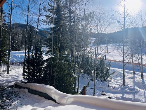 203-2090 Summit Drive, Panorama, BC - Outdoor With View