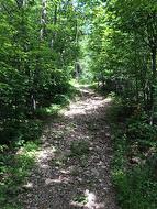 168 Ch. St-Georges  Rigaud, QC J0P 1J0