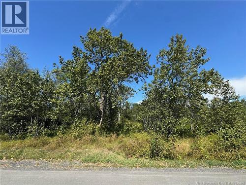 448 Route 280, Dundee, NB 