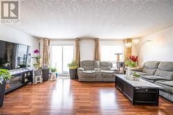 Living room featuring a healthy amount of sunlight, dark wood finished floors, and a textured ceiling - 