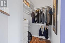 Bedroom with Walk-In Closet - 