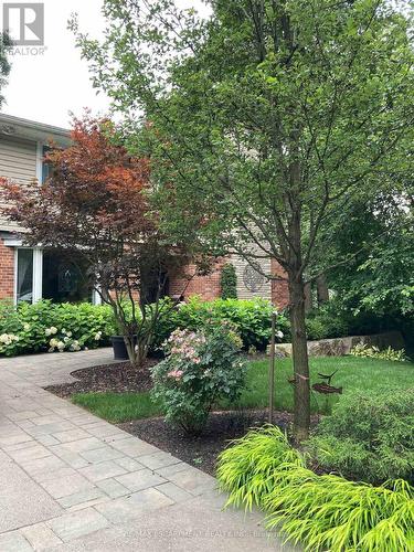 Summer Front Yard - 300 Shoreview Road, Burlington, ON - Outdoor