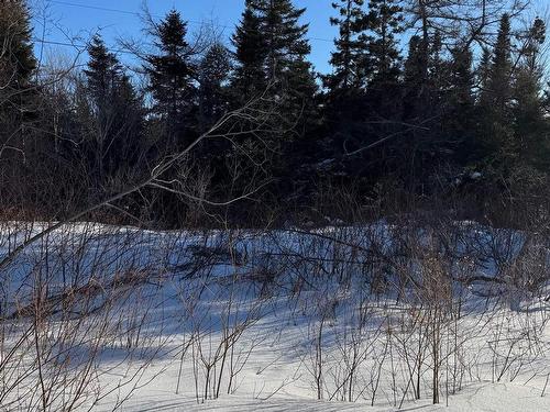 Walkerville Road, Walkerville, NS 