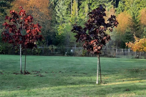 2450/2440 Whistler Rd West, Qualicum Beach, BC 