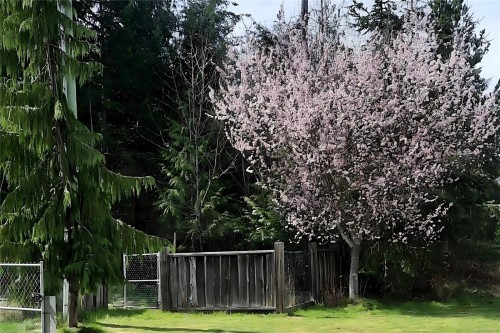 2450/2440 Whistler Rd West, Qualicum Beach, BC 