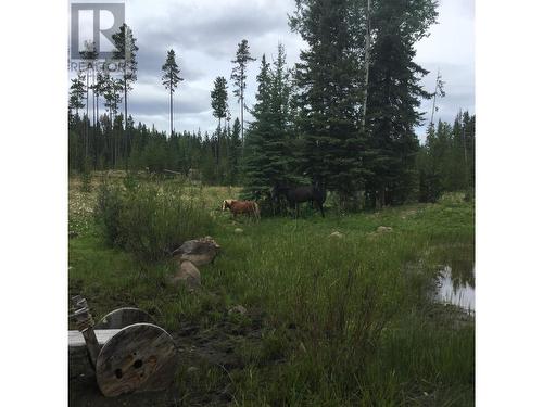 5793 Little Fort 24 Highway, 100 Mile House, BC - Outdoor