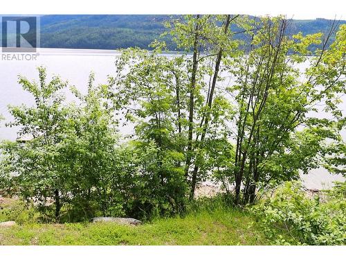 8734 Squilax Anglemont Road, St. Ives, BC 