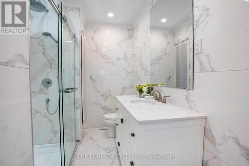 574 Oakridge Drive, London, ON - Indoor Photo Showing Bathroom