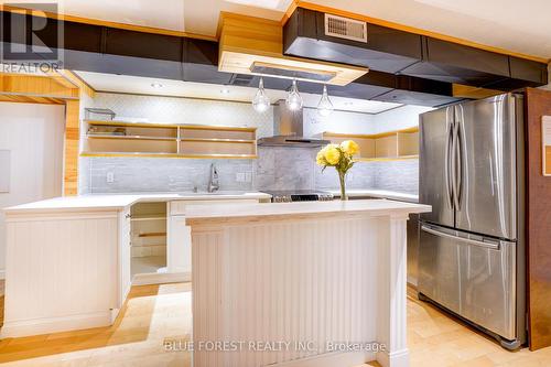 574 Oakridge Drive, London, ON - Indoor Photo Showing Kitchen