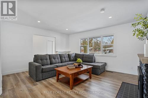 574 Oakridge Drive, London, ON - Indoor Photo Showing Living Room