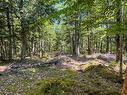 Lot 1000  Conquerall Road, Conquerall Bank, NS 