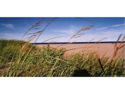 1310 Route 505  Sainte-Anne-De-Kent, NB E4S 1L1