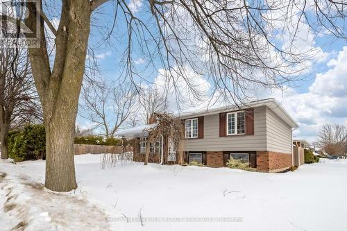 370 Ferndale Avenue, London, ON - Outdoor