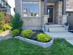 Front garden - 