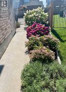 Perennial garden at side - 