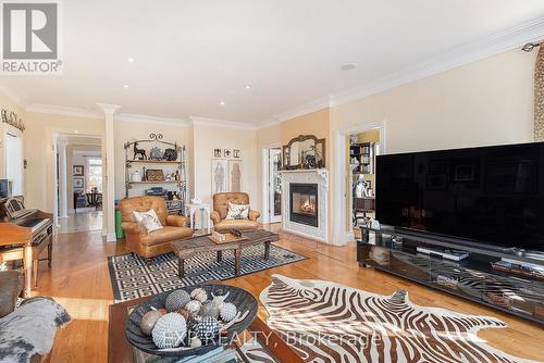 133 Balmoral Place, Ottawa, ON - Indoor Photo Showing Living Room With Fireplace