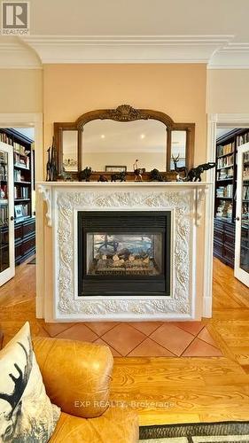 133 Balmoral Place, Ottawa, ON - Indoor Photo Showing Living Room With Fireplace