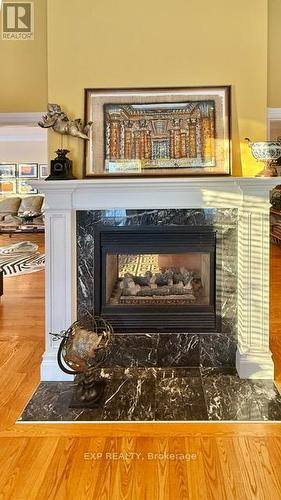 133 Balmoral Place, Ottawa, ON - Indoor Photo Showing Living Room With Fireplace